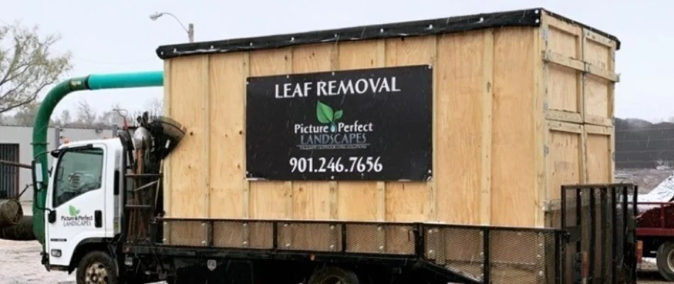 Professional leaf removal service in Memphis, TN.