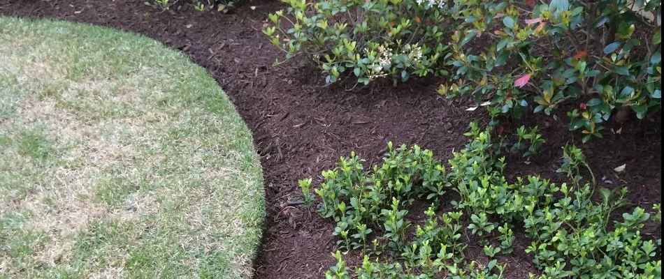 Mulch ground cover on residential property in Memphis, TN.