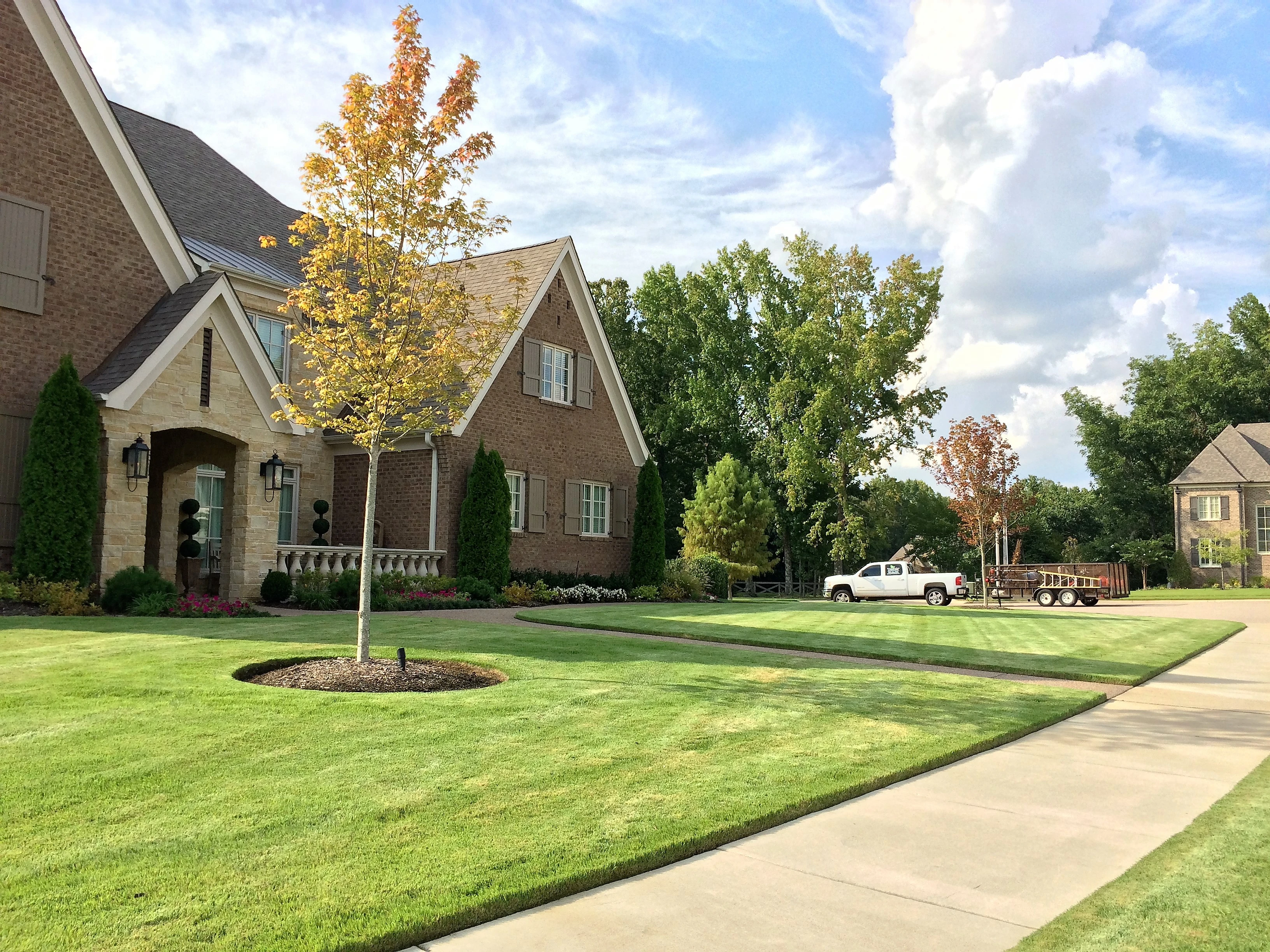Well-maintained yard with trees in Memphis, Tennessee.