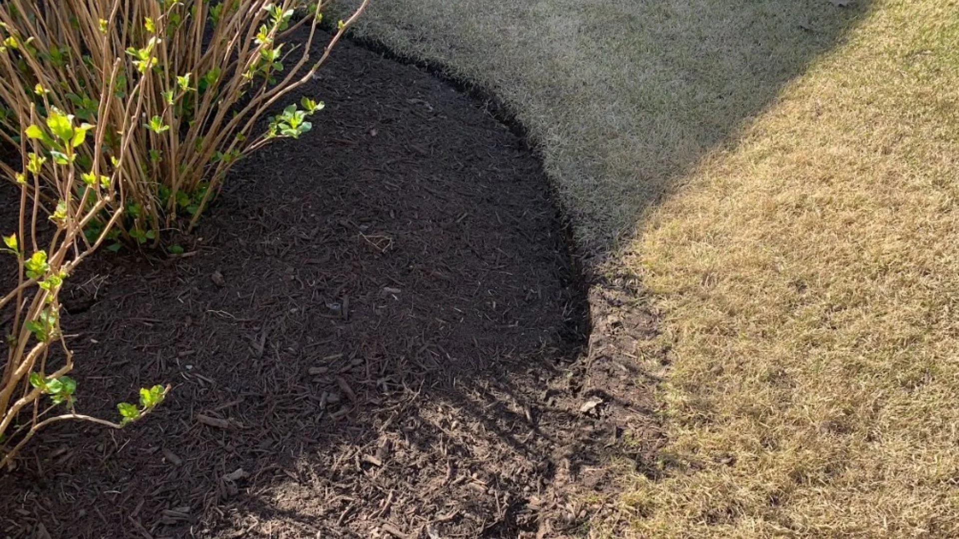 Common Mistakes You Could Make if You Try to Install Mulch Yourself