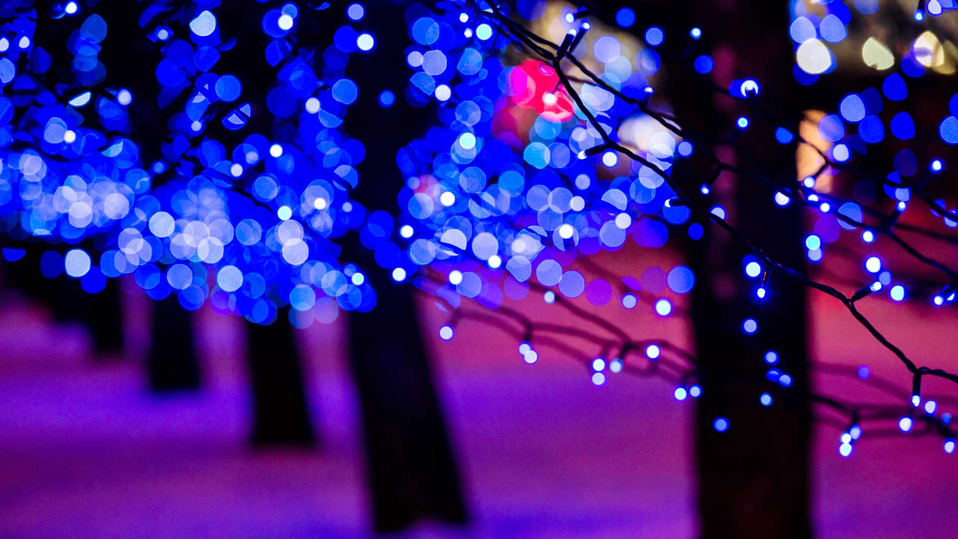 Holiday lighting on trees at a home in Bartlett, TN.