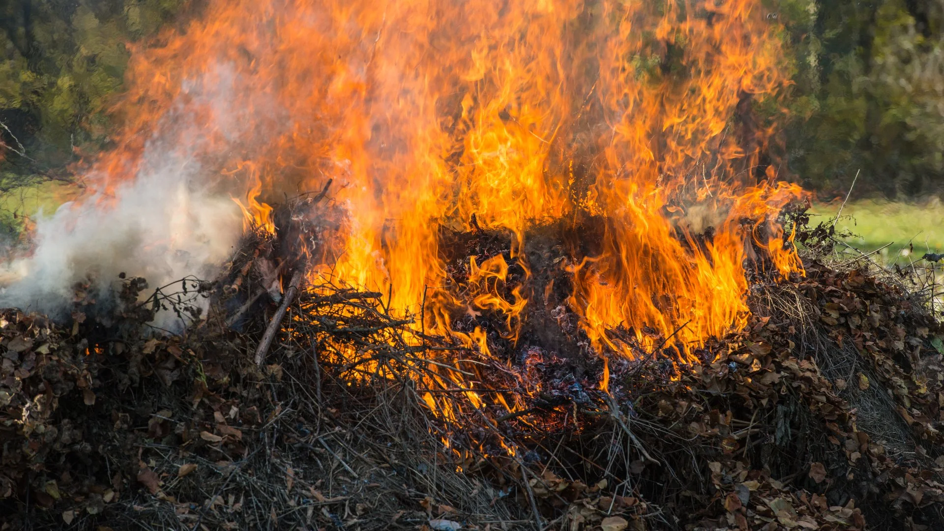 Here's Why You Shouldn't Burn Your Leaf Piles!