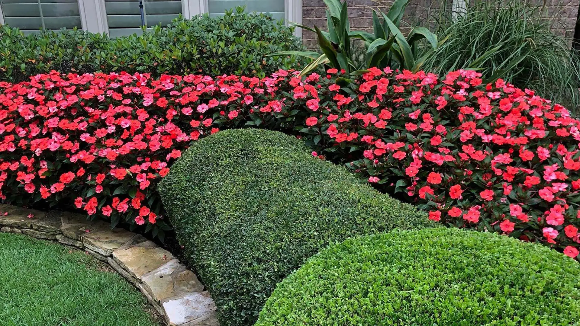 A landscape bed of well trimmed bushes and red flowers by a home in Arlington, TN.