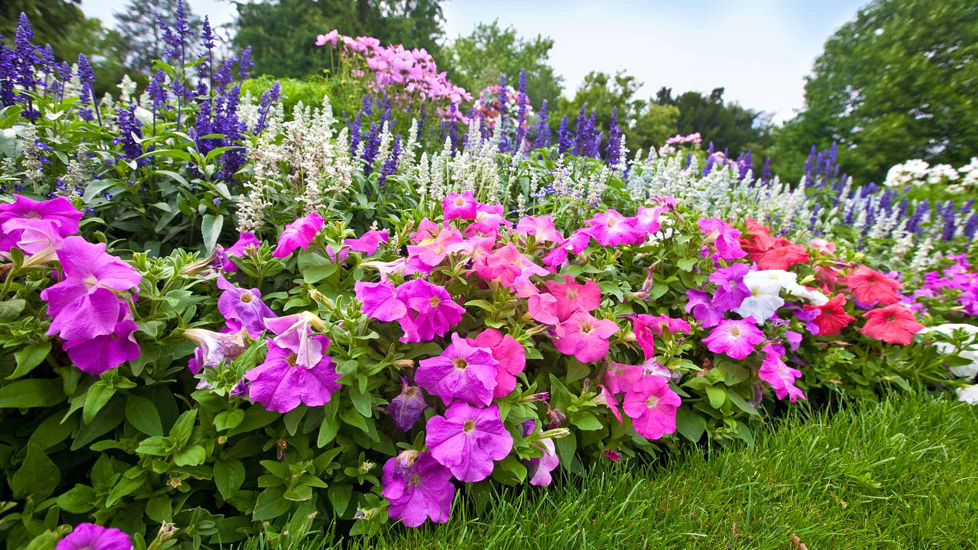 4 Things To Consider When Choosing Plants for Your Landscape Beds