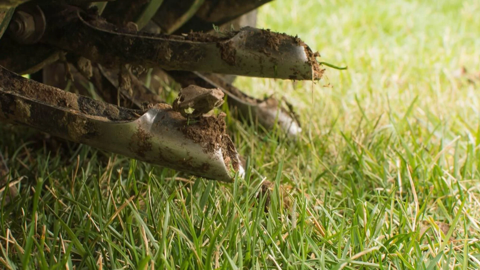 If You Have Warm-Season Grass You Should Have It Aerated in May or June!