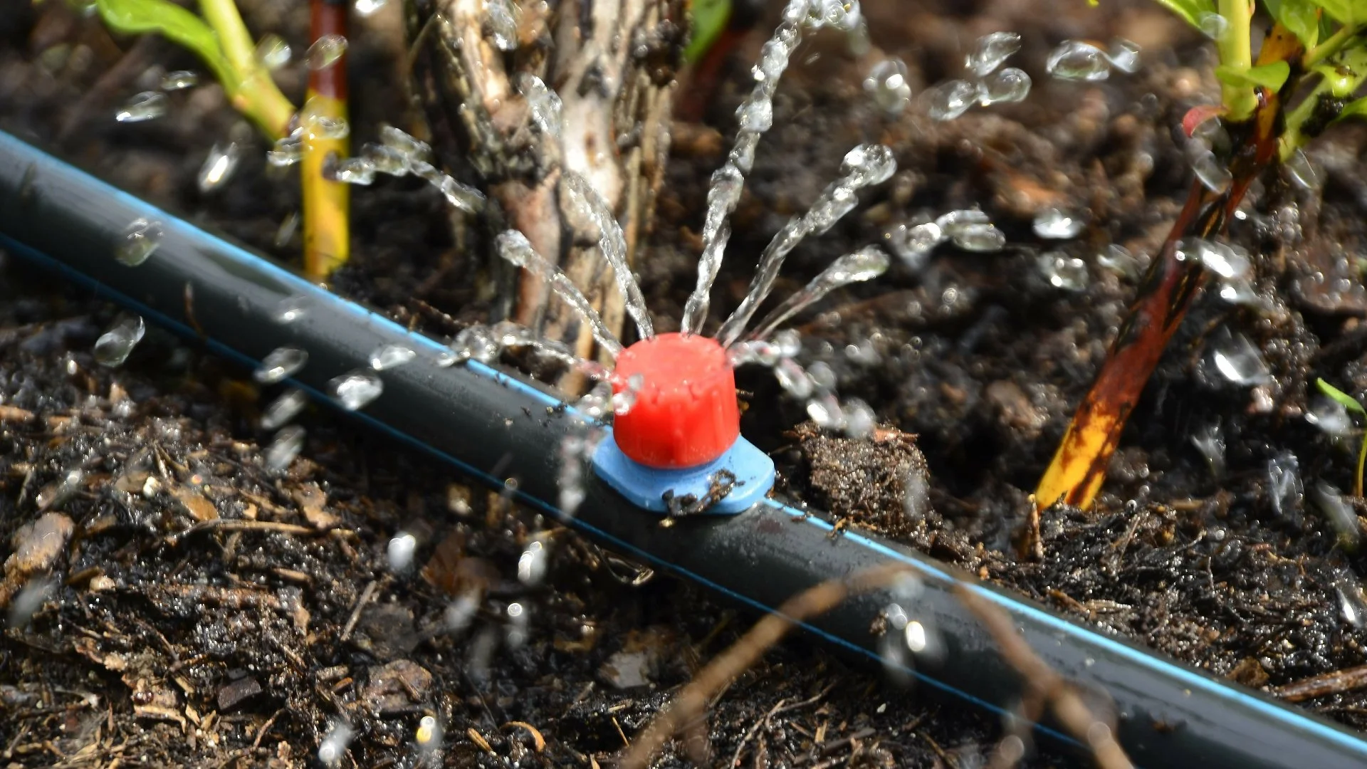 A Drip Irrigation System Is Ideal for Landscape Beds!