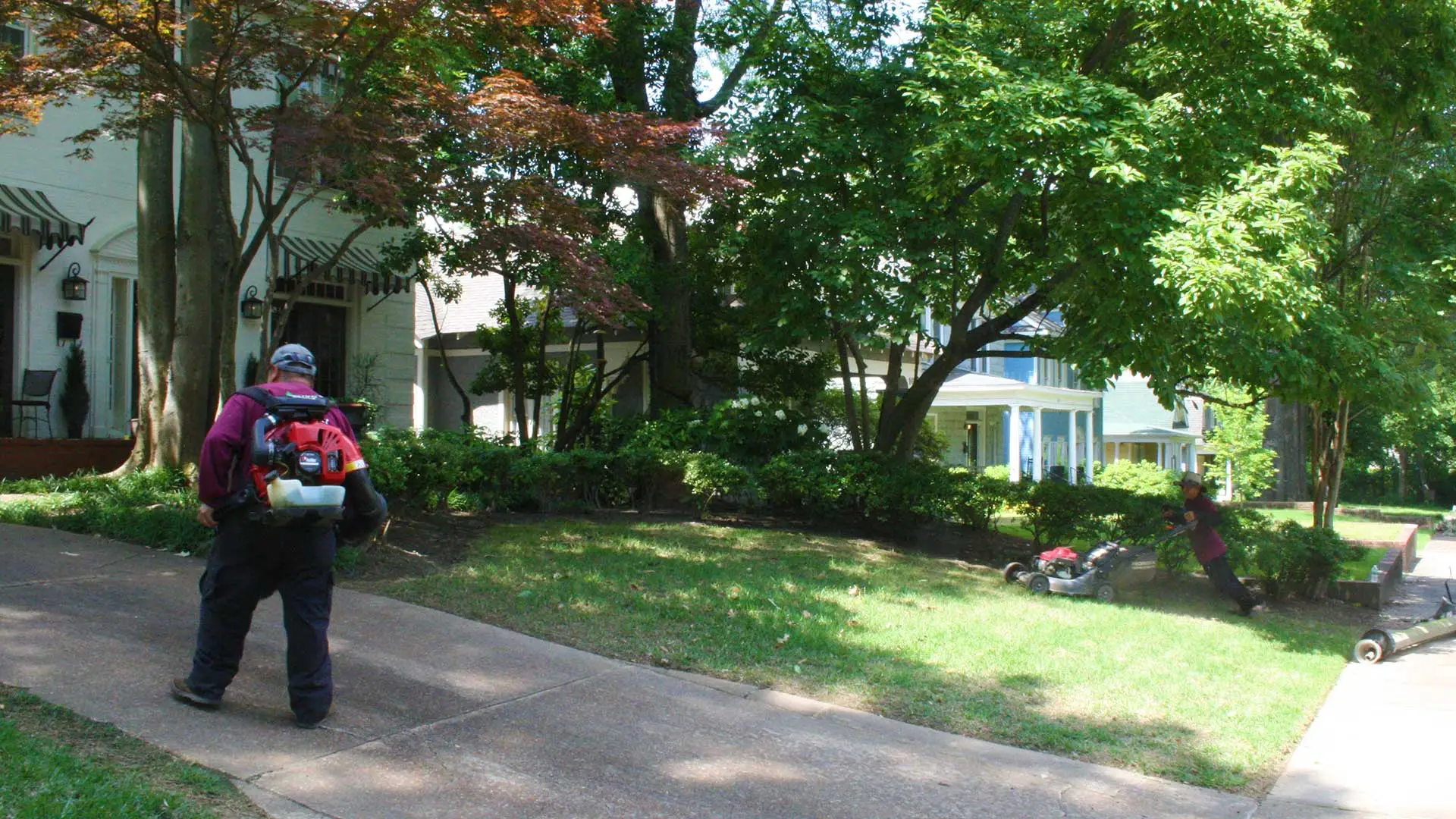 Lakeland, TN property with fall cleanups including mowing and clearing debris.