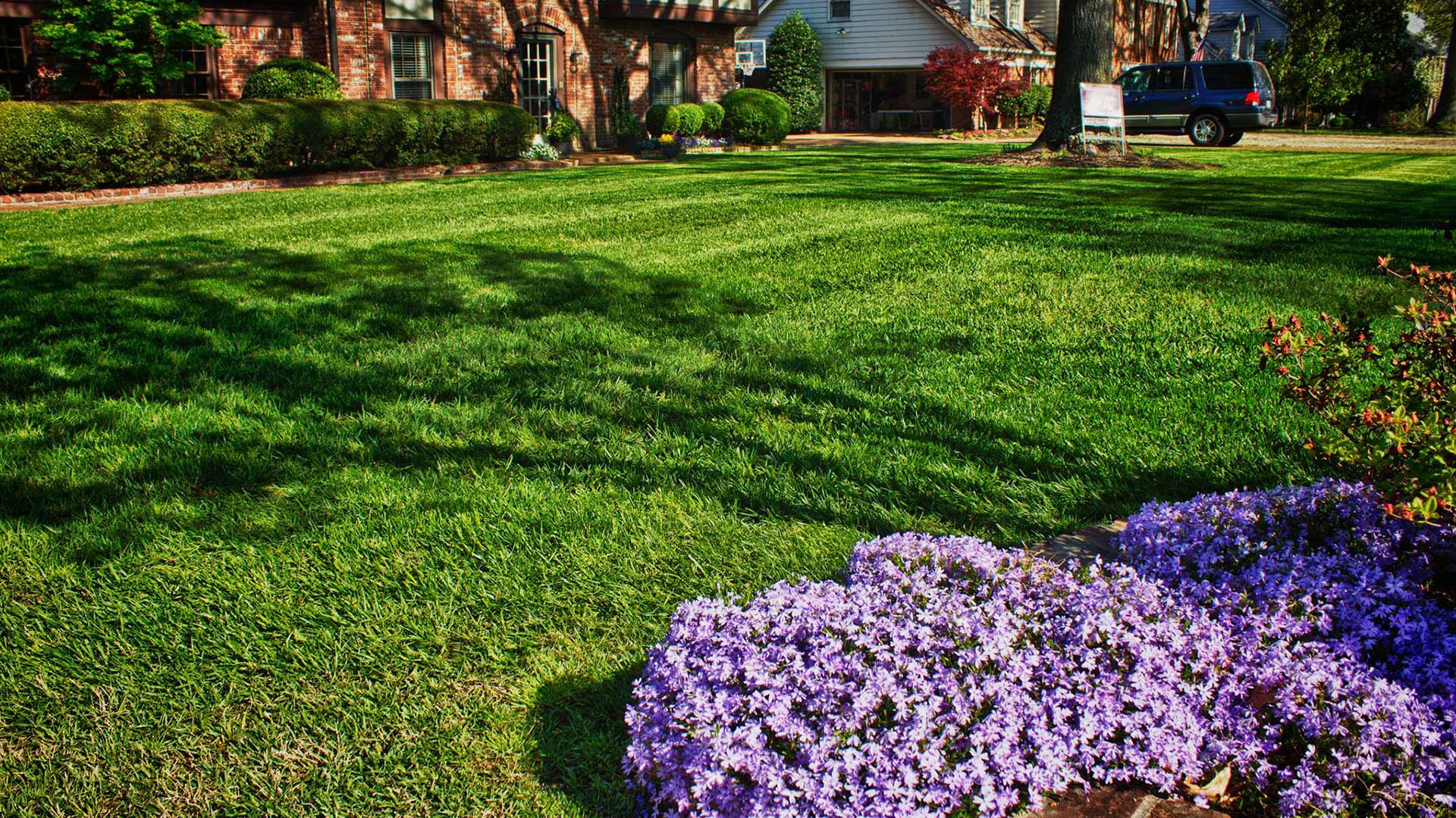Fertilized front yard lawn at a home in Germantown, TN.
