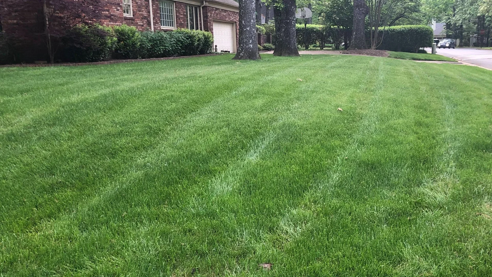 Following the 1/3 Rule When Mowing Your Lawn Is a Must!