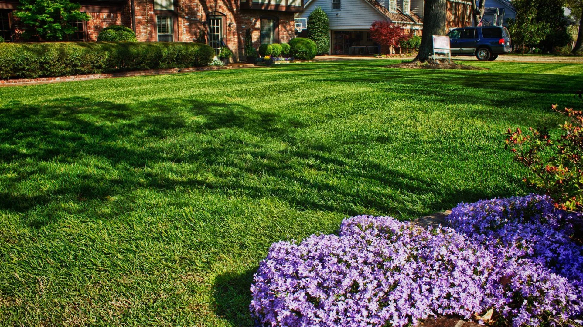 Spring Fertilization: Is It Really Necessary for a Healthy Lawn?