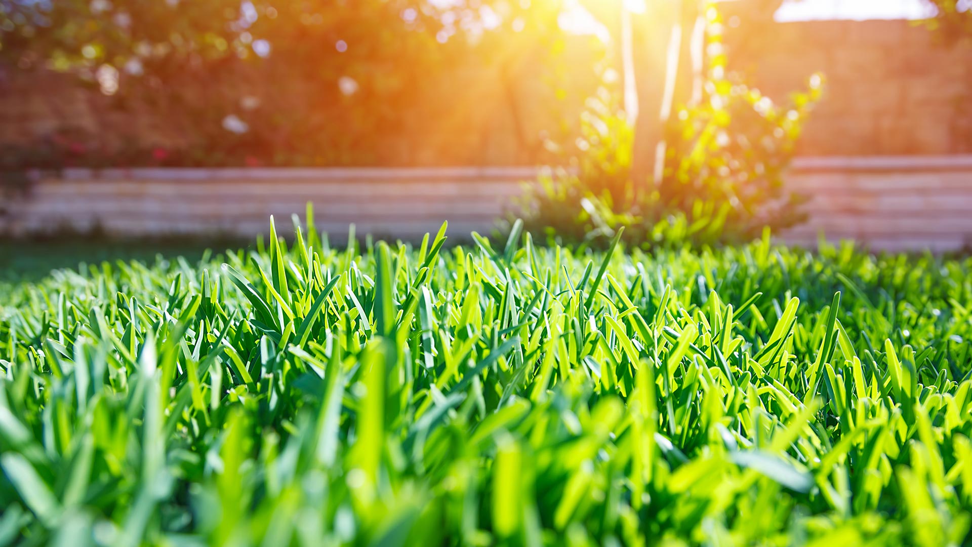 Keep Your Property in Great Shape This Fall With These 4 Lawn Care Services