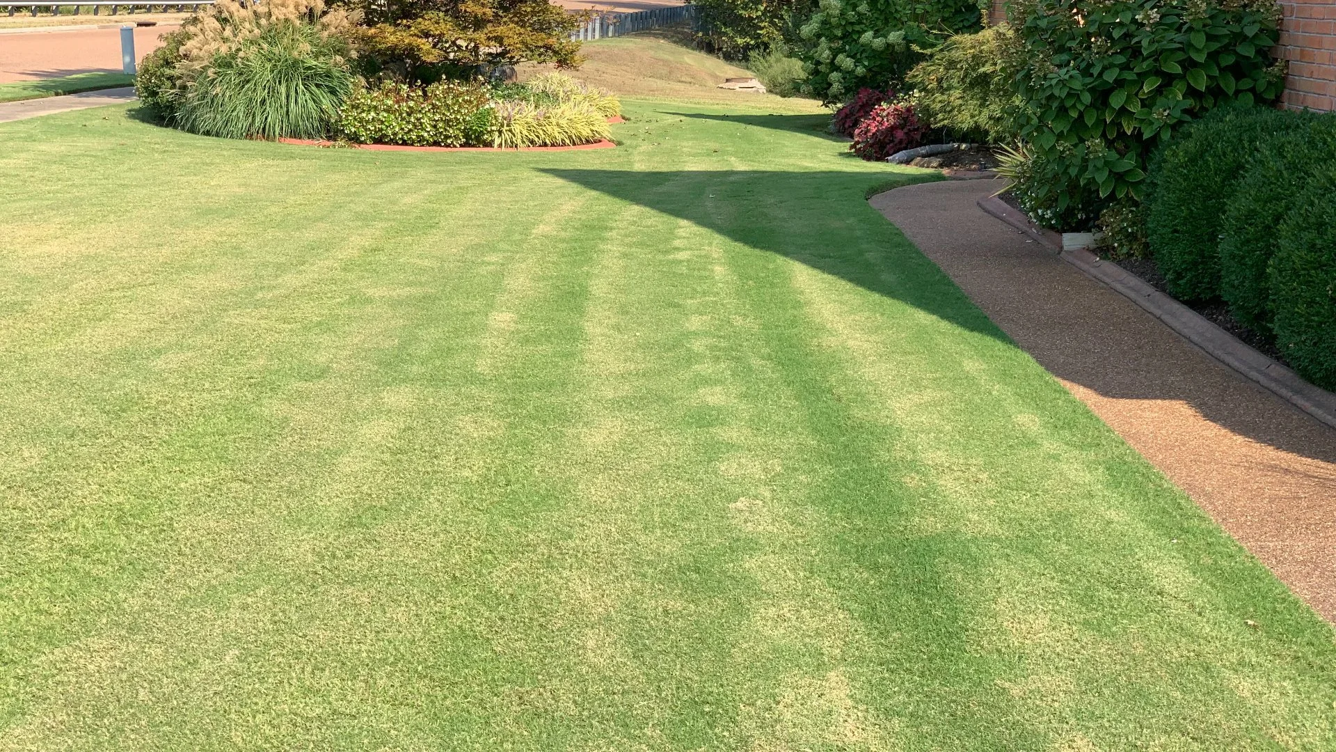 Follow This Watering Schedule After Your Lawn Has Been Overseeded!