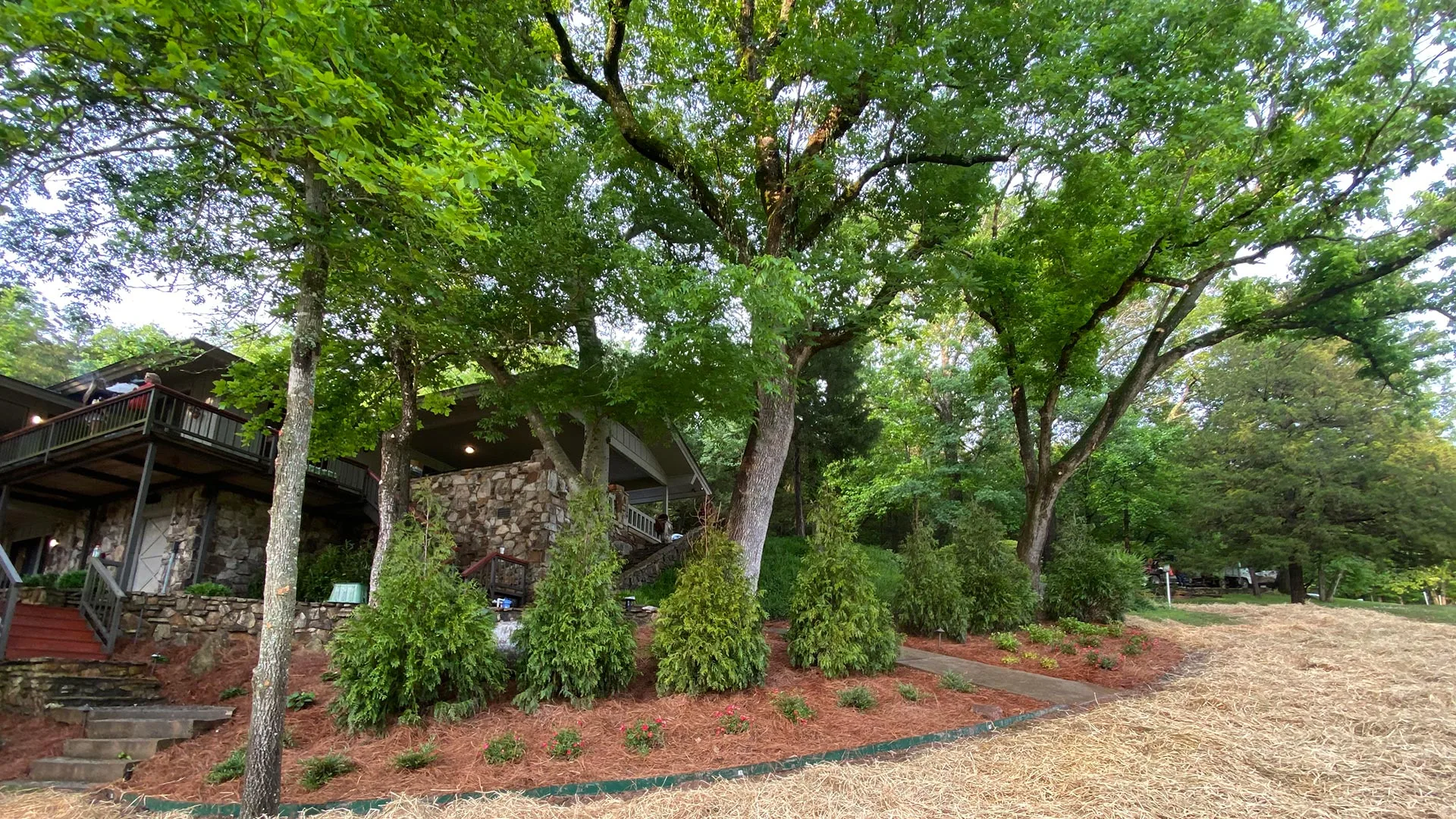 Healthy trees and shrubs by our regular client's home in Lakeland, TN.