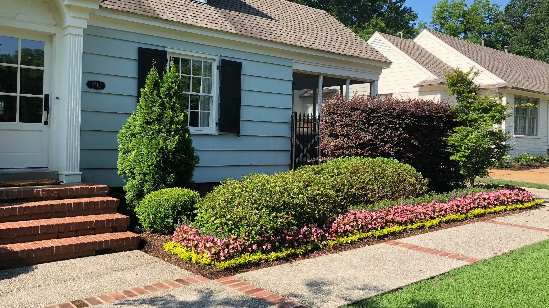 Only Let a Certified Arborist Prune Your Plants
