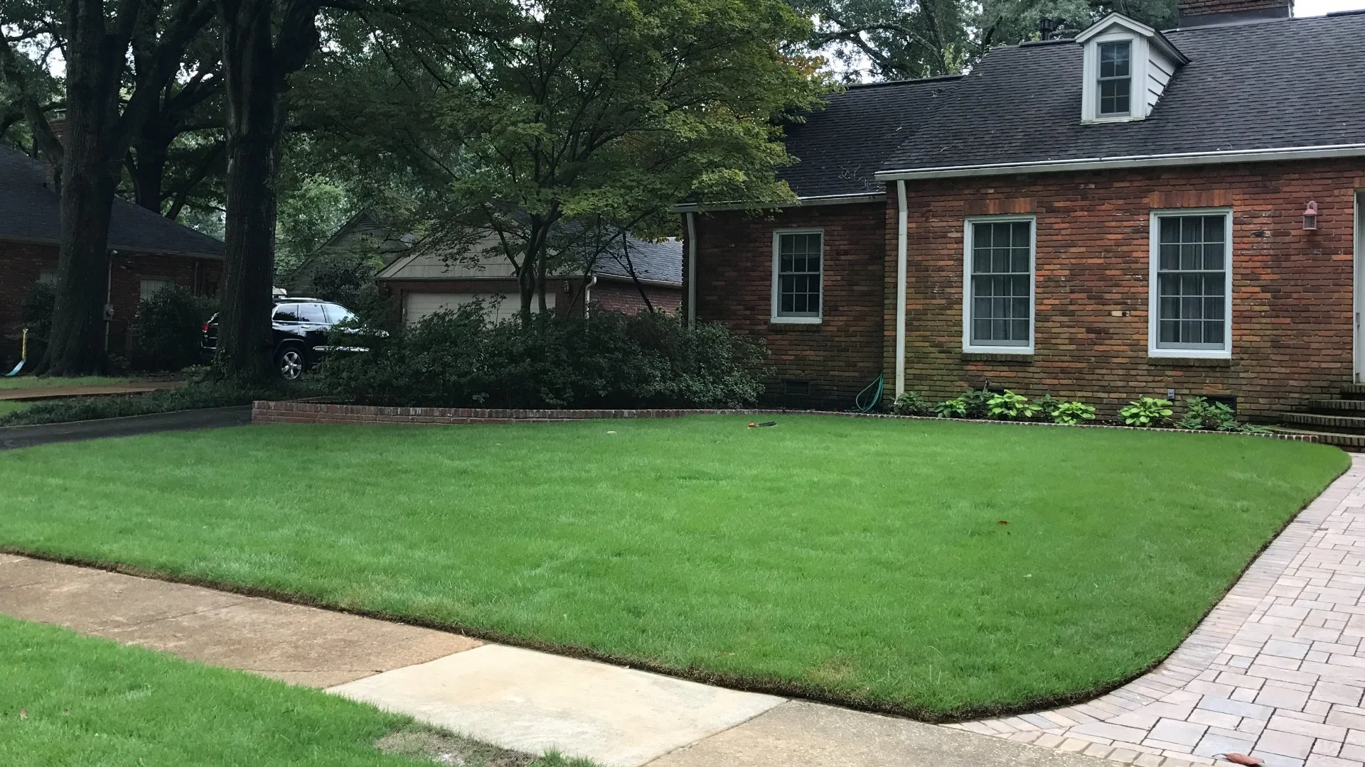 4 Common DIY Overseeding Mistakes to Avoid