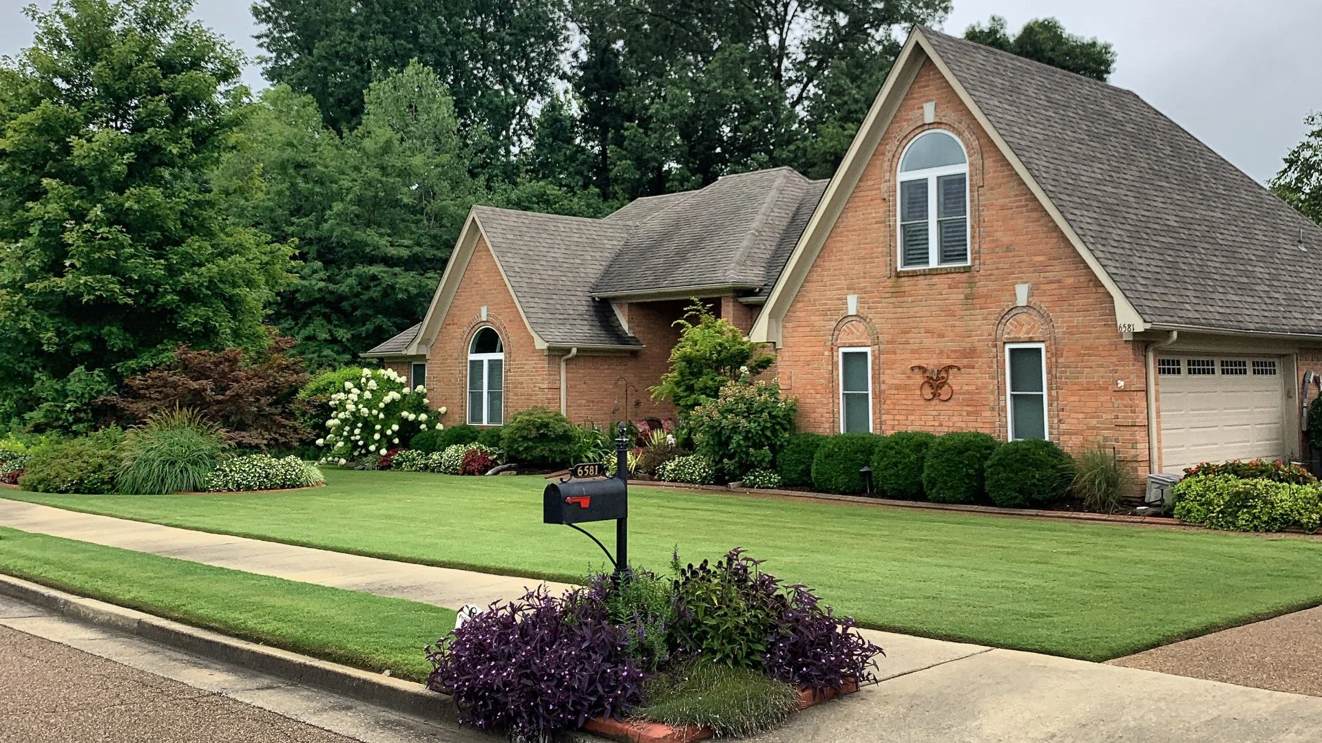 Cool-Season vs Warm-Season Lawns: How These Grass Types Differ