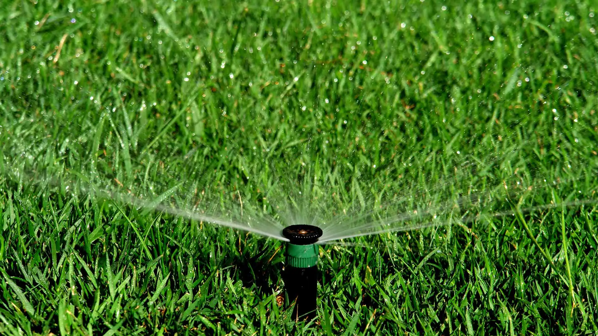 Now Is the Time To Schedule Your Professional Irrigation Startup Service