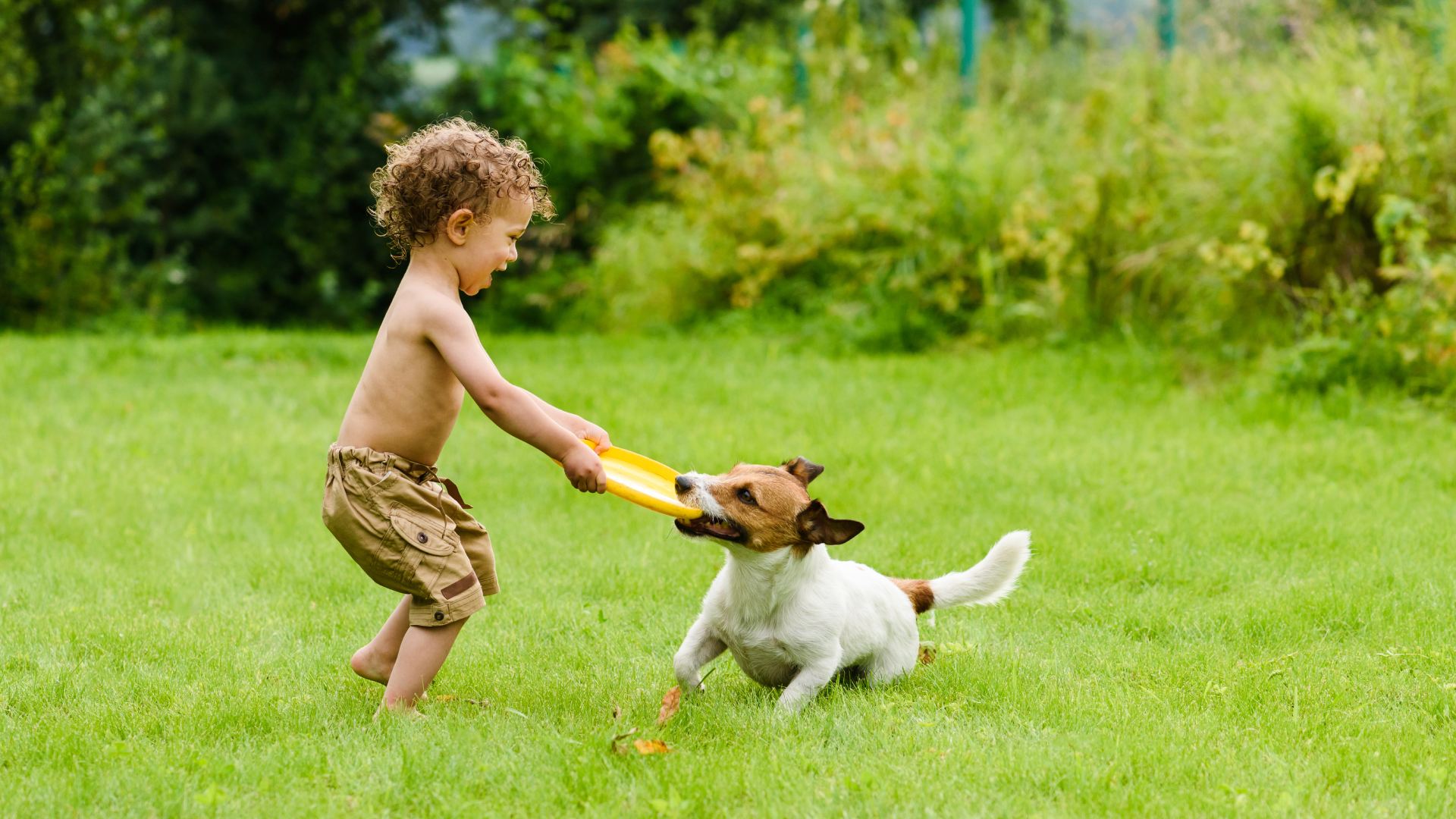 Kid and dog able to play on pest control treated lawn near Lakeland, TN.