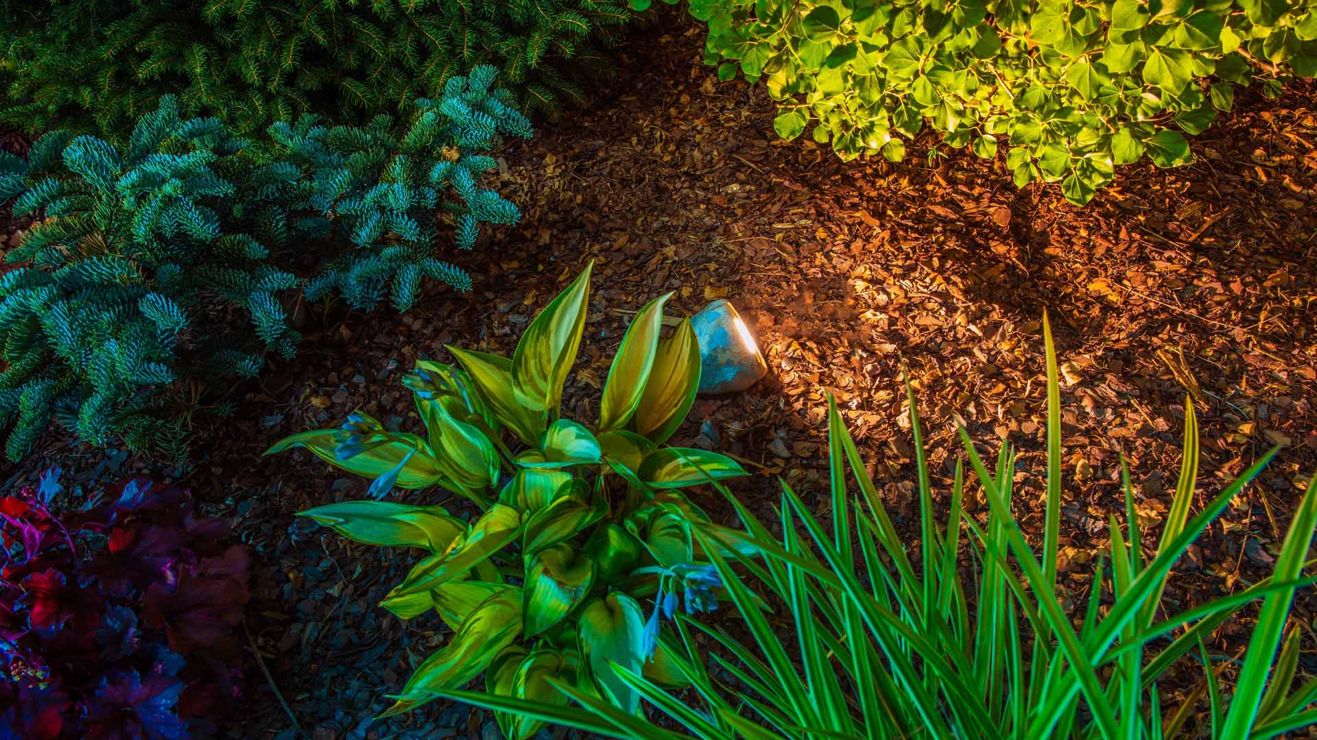 4 Lighting Techniques That Can Bring Your Property to Life at Night