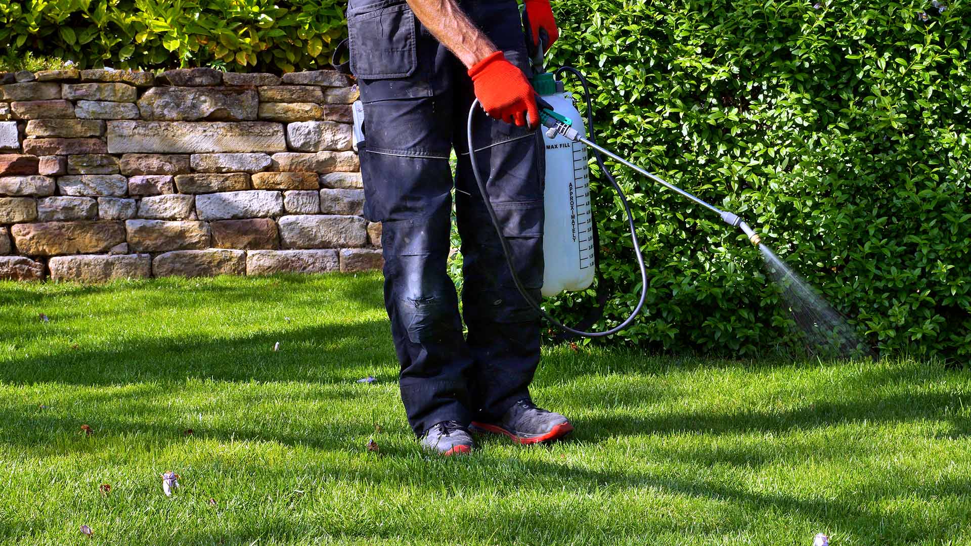 A lawn care professional treating a lawn with pest control in Memphis, TN.