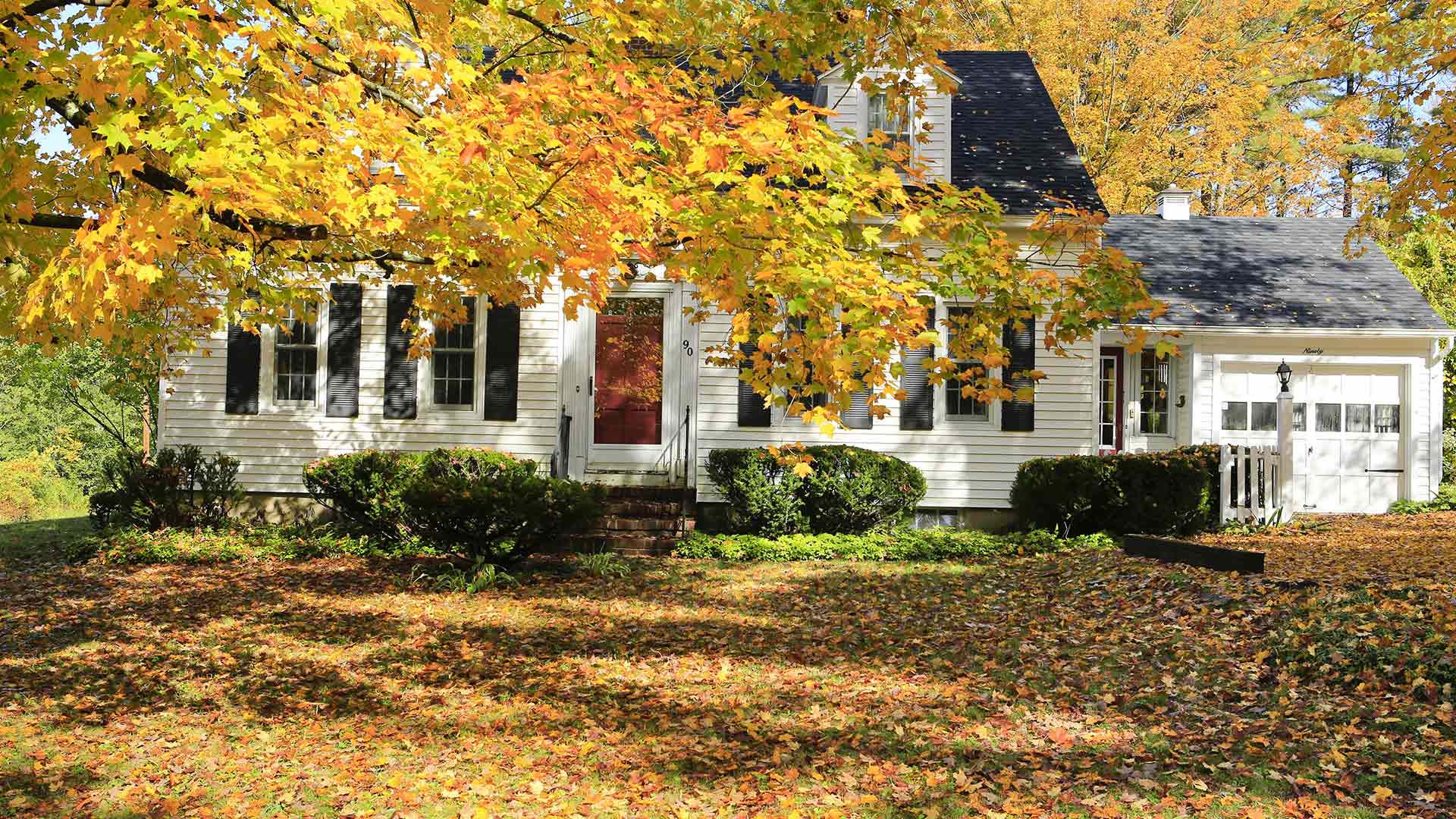 Thinking of Turning a Blind Eye to the Leaves on Your Lawn? Read This