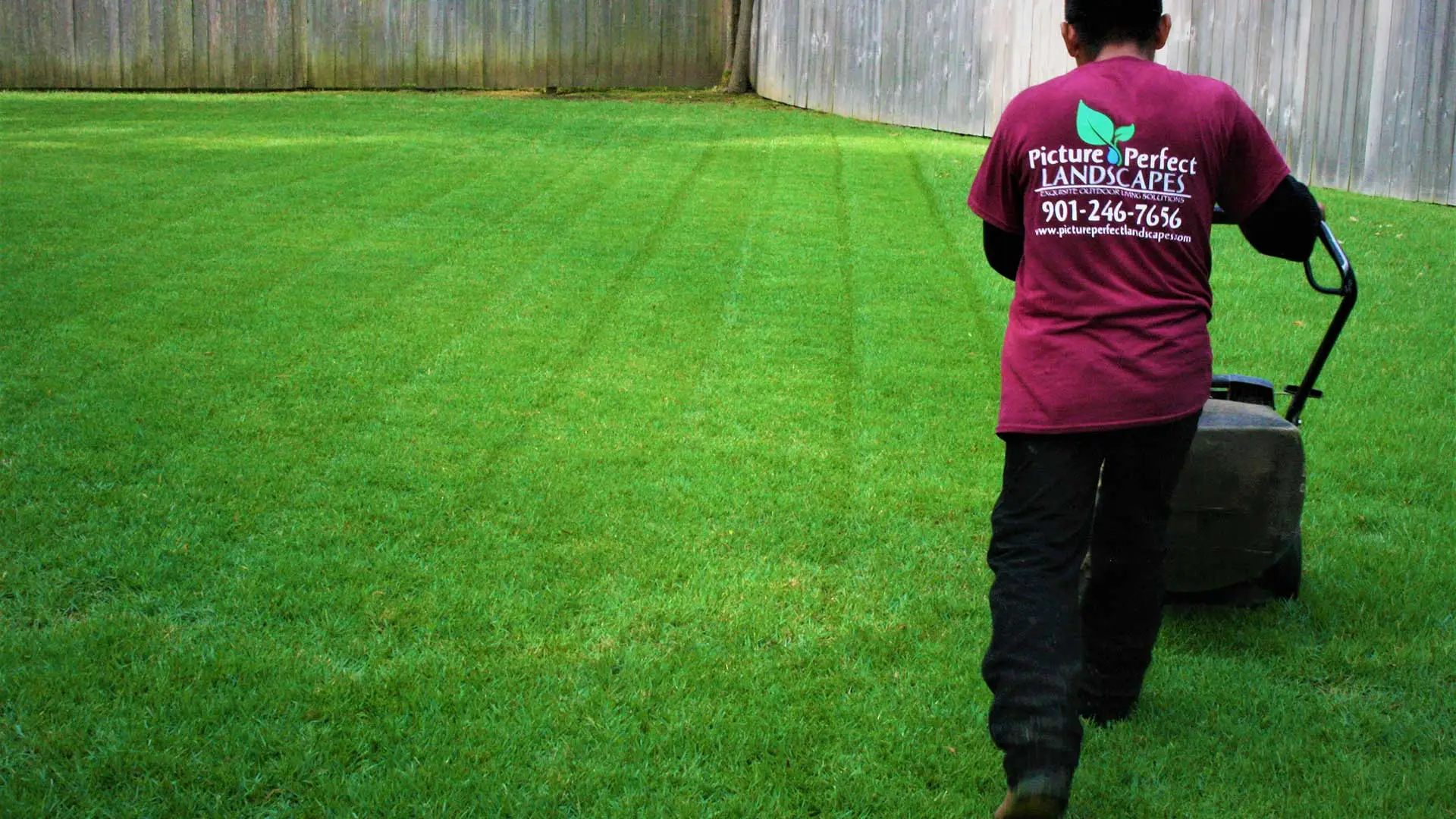 Mowing a back yard lawn with a push mower in Collierville, TN.