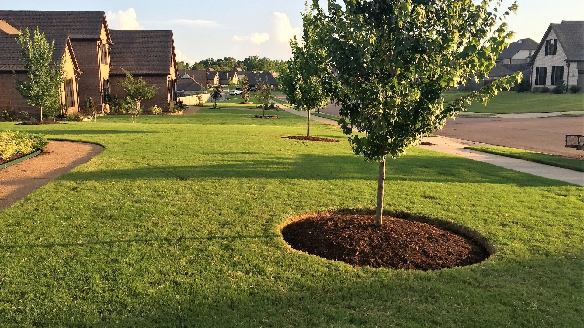 Is a Full-Service Maintenance Program Worth It for Your Property?