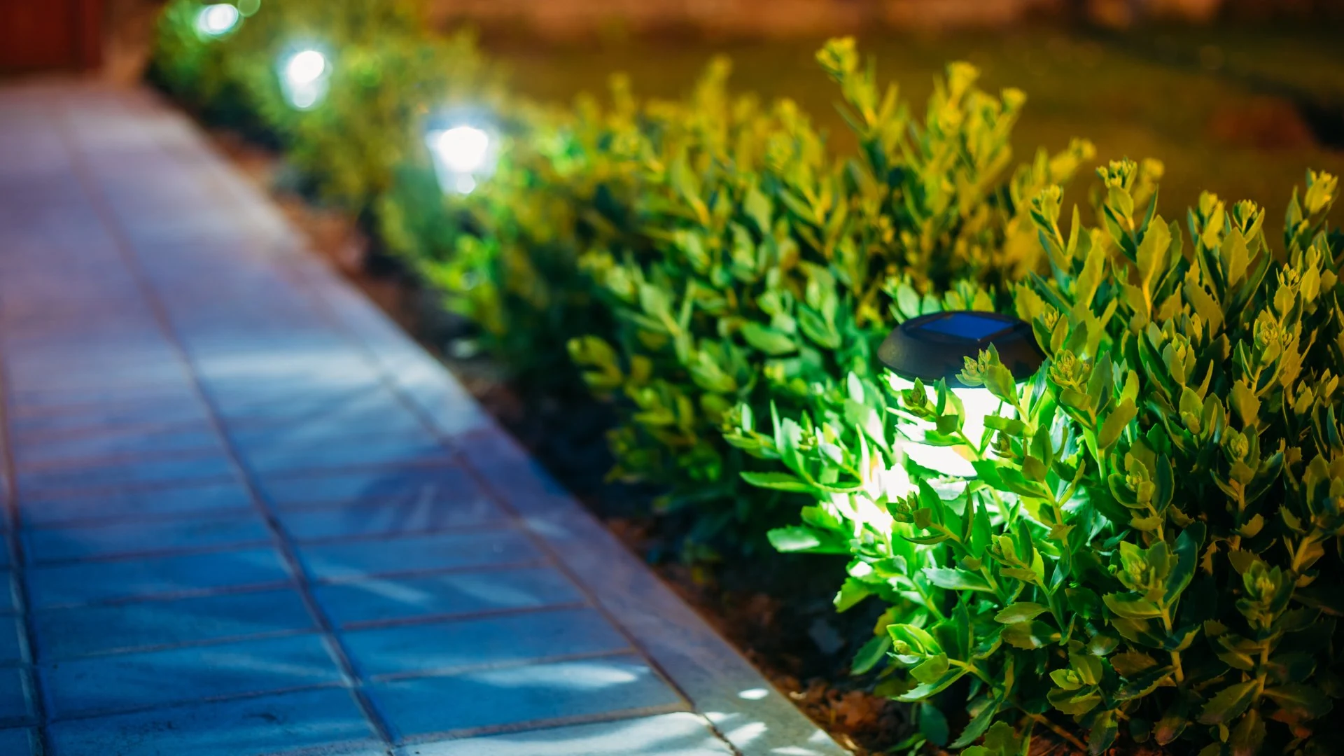 Outdoor landscape lighting along a pathway in Bartlett, TN.