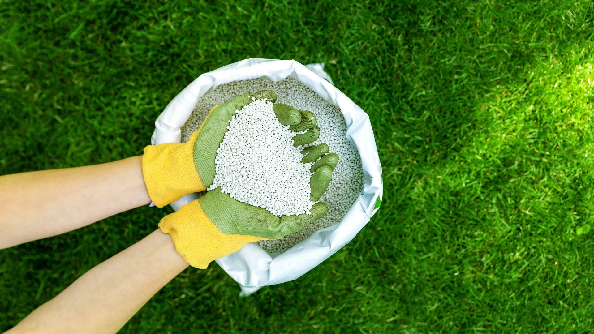 Are Liquid or Granular Fertilizers Better for My Lawn in Tennessee?