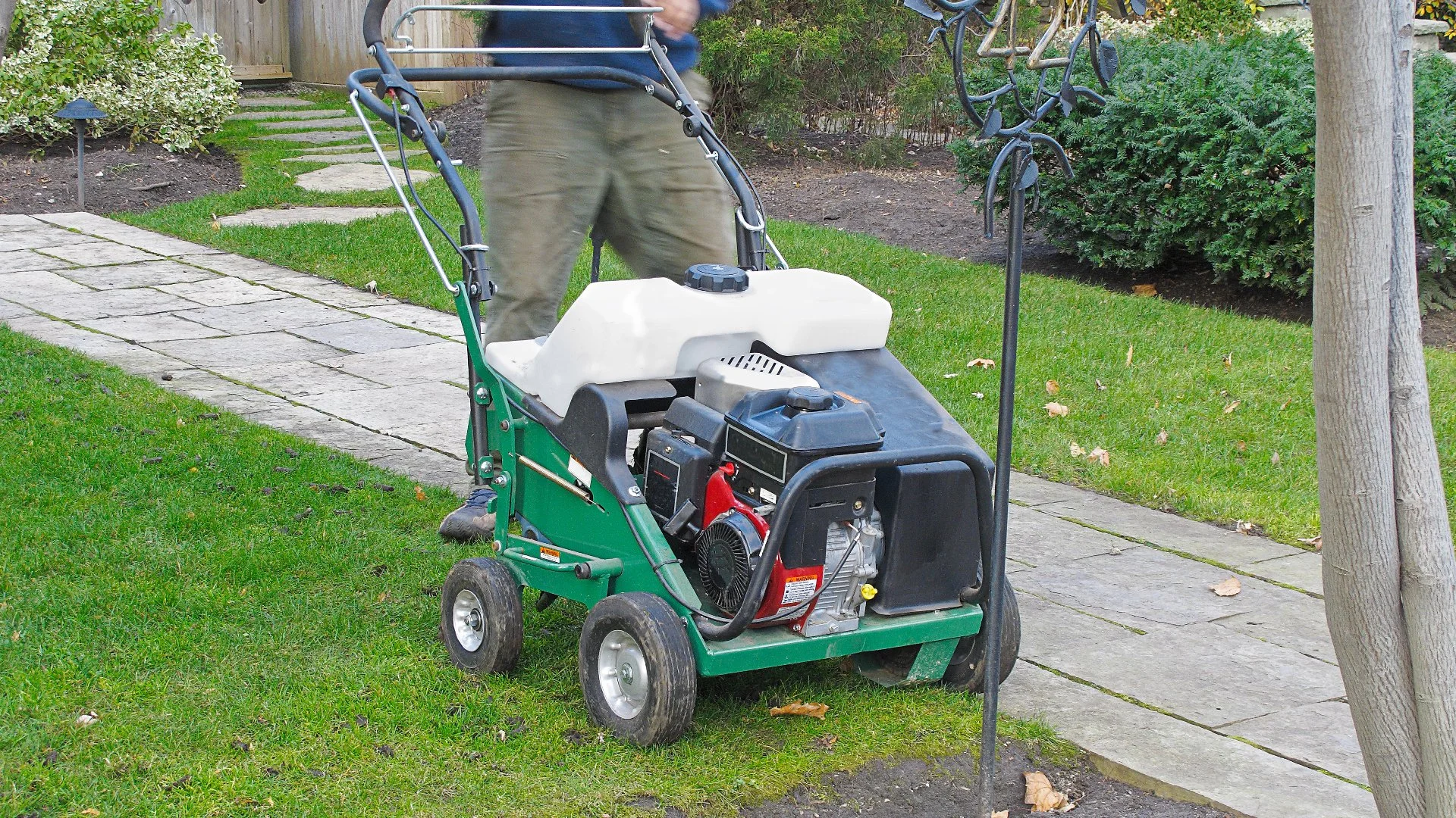 Should I Have My Lawn Aerated Every Single Year?