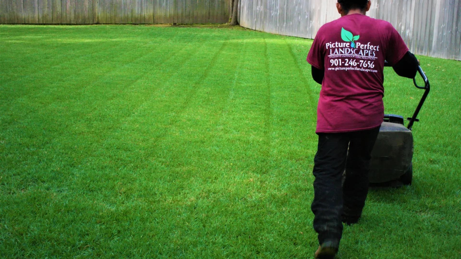 What Do You Need to Know About the Last Mow of the Year?