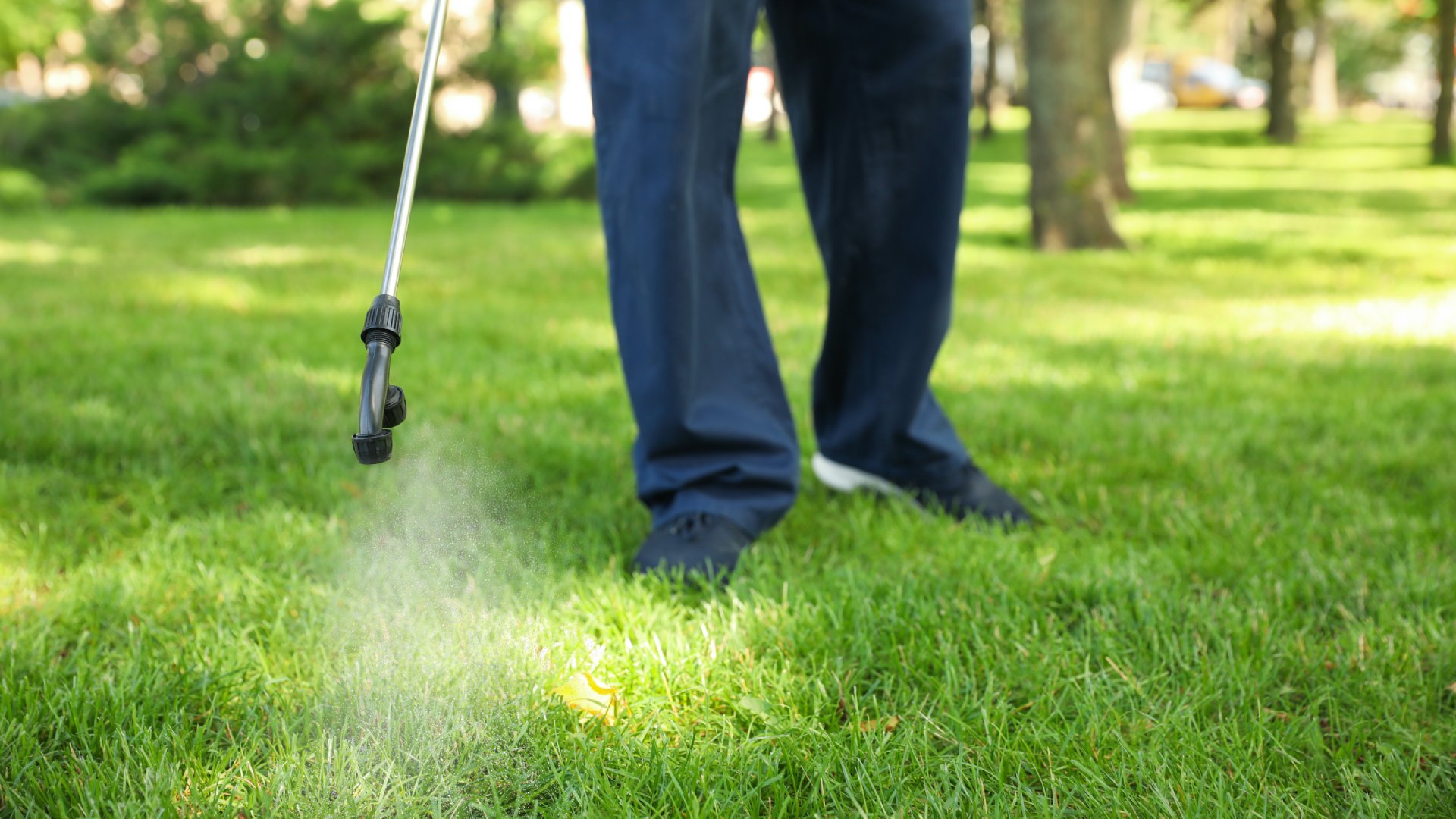 The Perfect Weed Control Schedule for Lawns in Memphis, TN