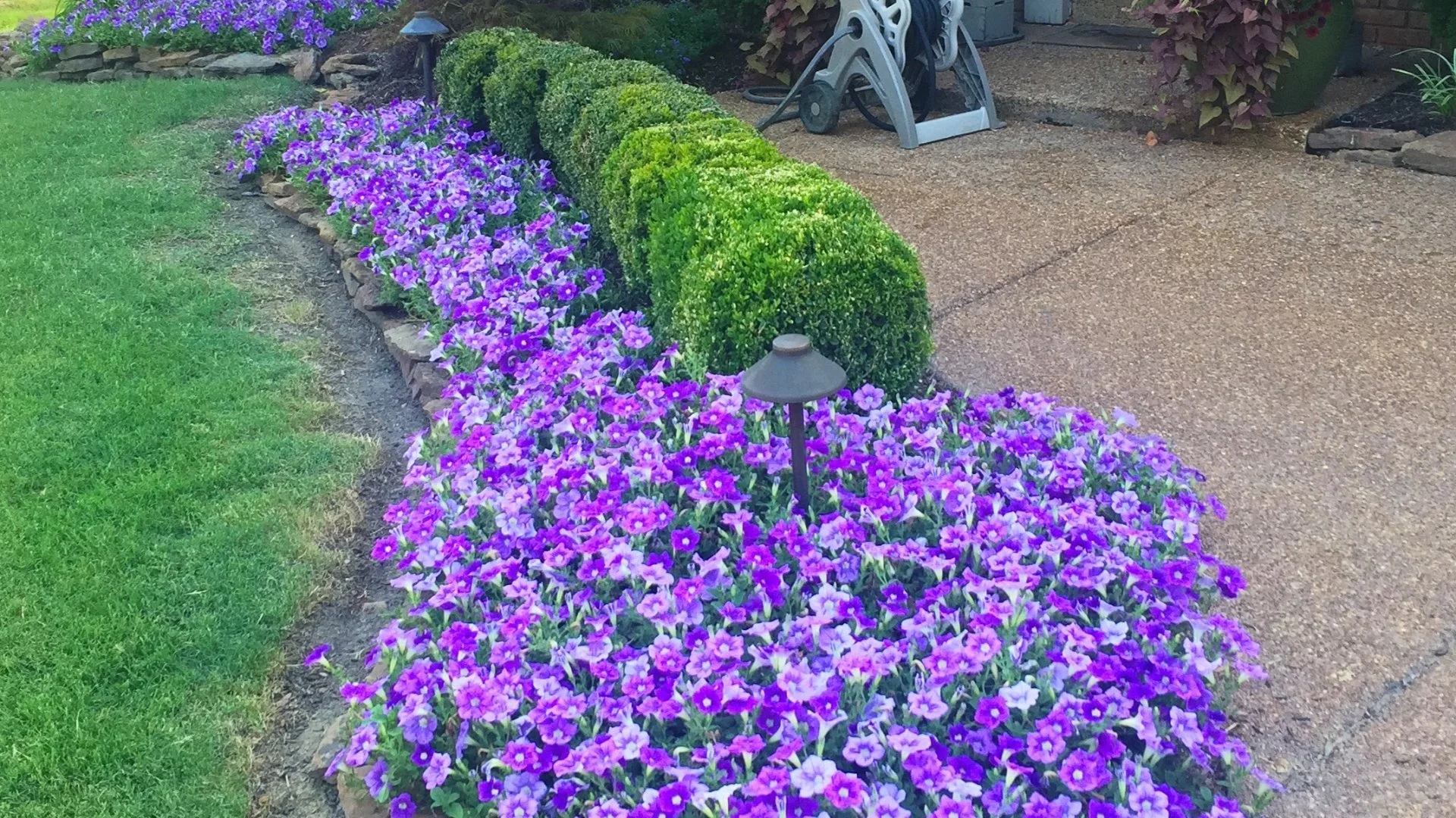 Help Your Spring Annual Flowers Thrive by Doing These 3 Things