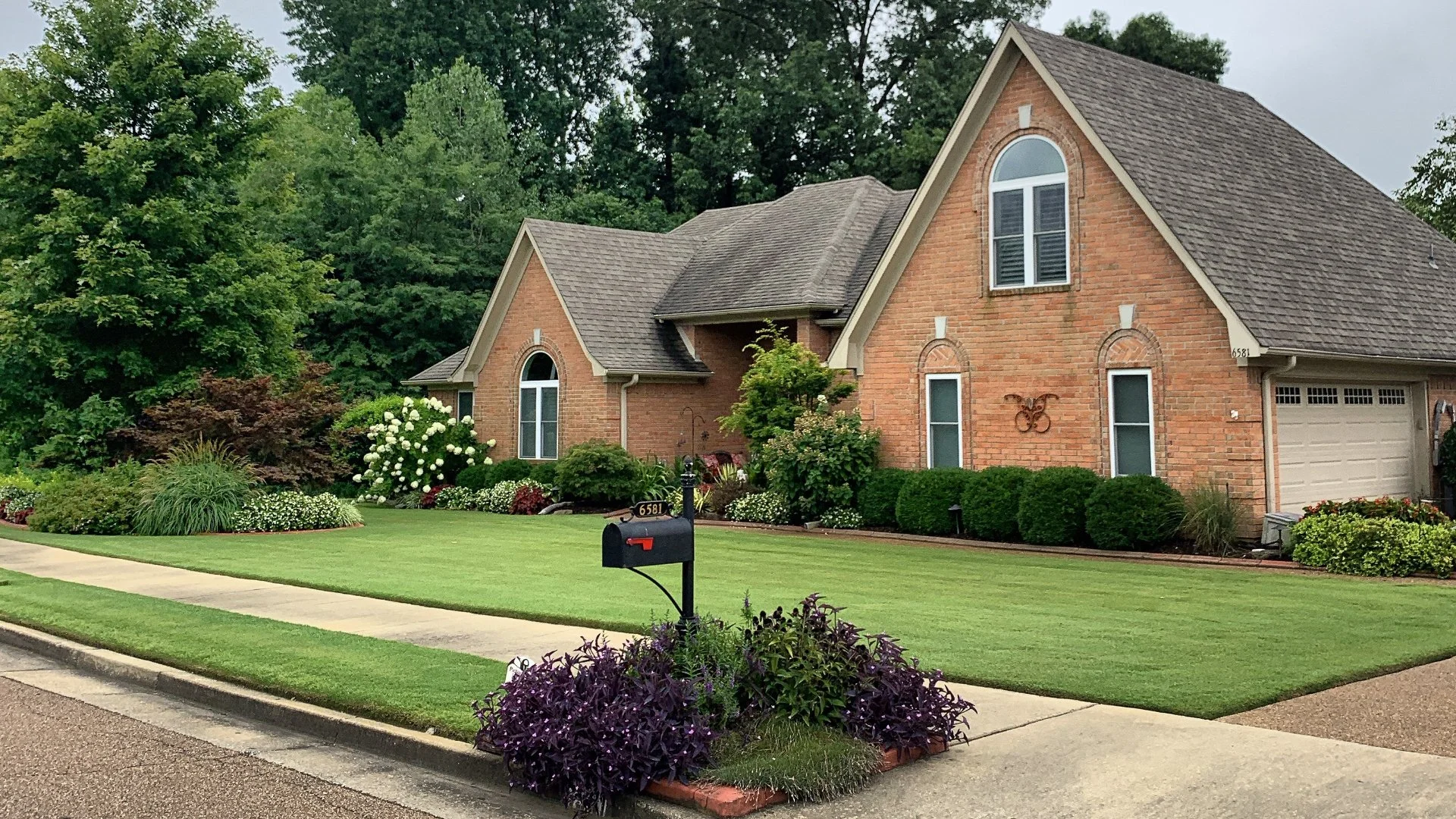 Do You Really Need to Hire Pros to Care for Your Lawn?