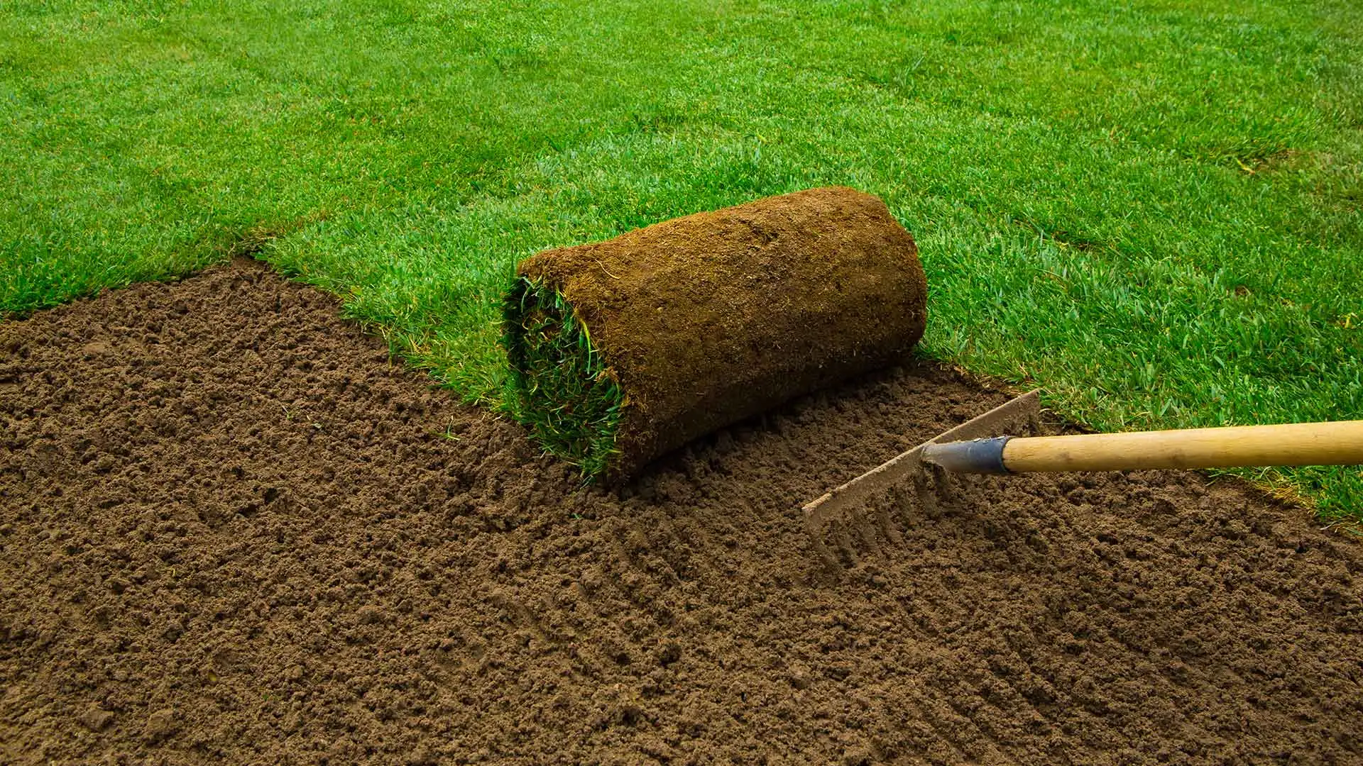 Sod installation at a Germantown, TN home.