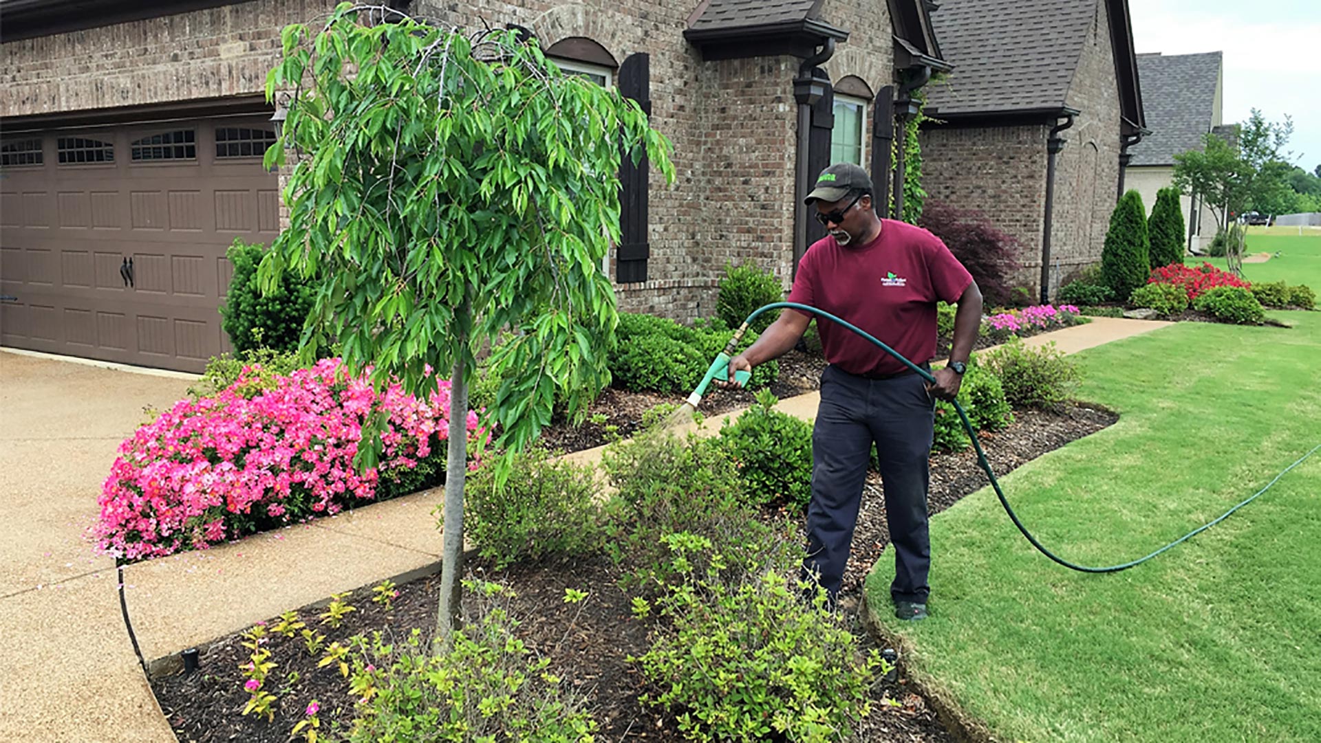 Weed Control Services in the Greater Memphis, TN Area Picture Perfect