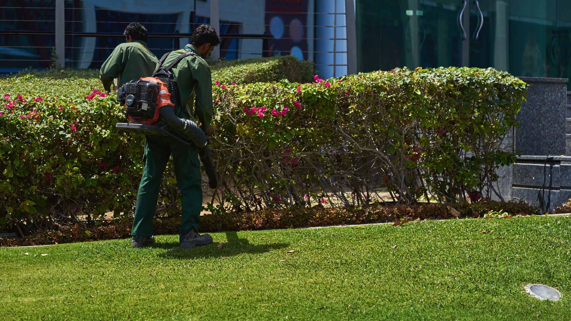 Spring Yard Cleanups Increase Both the Health & the Curb Appeal of Your Lawn