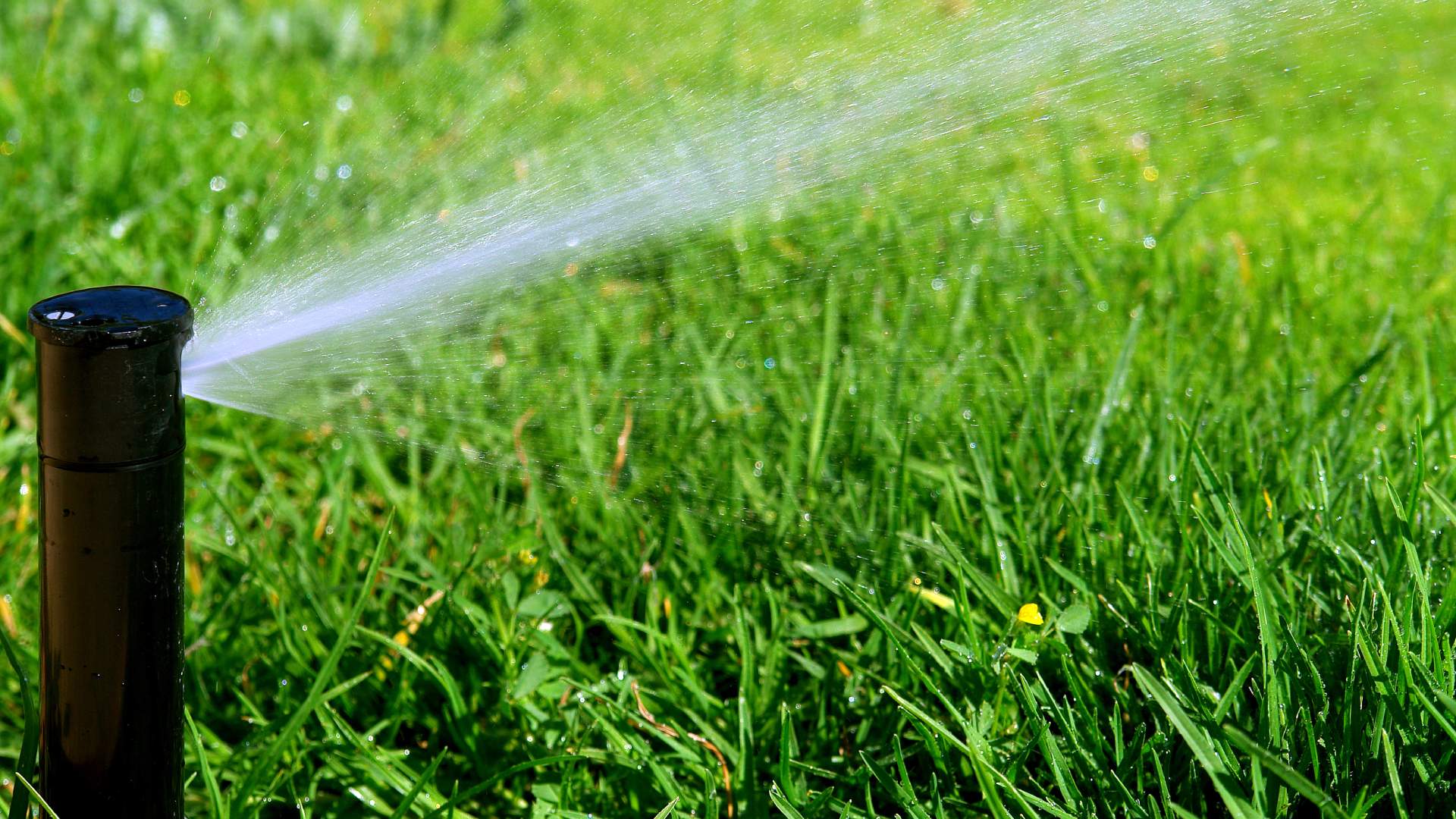 3 Reasons You Should Hire a Professional for Your Irrigation Startup Service