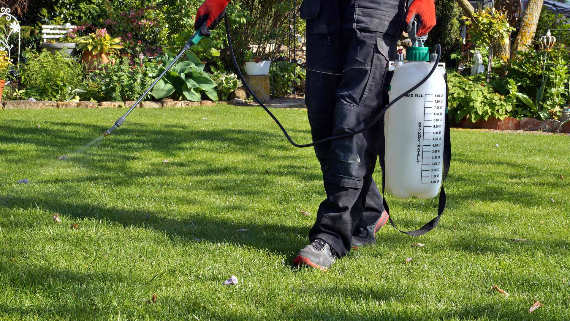 Why Organic-Based Fertilizers Are the Best Choice for a Lush, Green Lawn