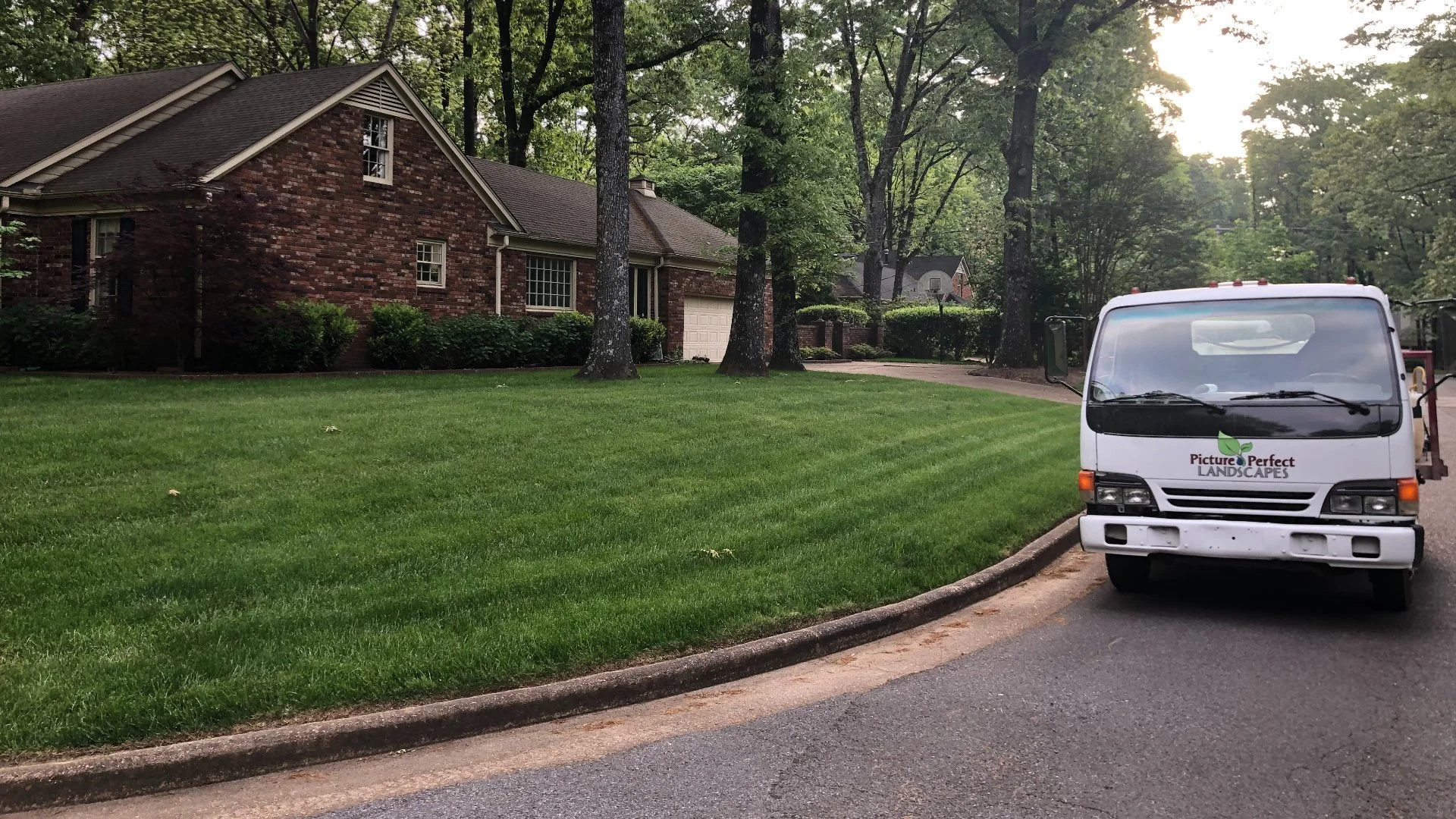 How Often Should You Overseed Your Lawn in Tennessee?