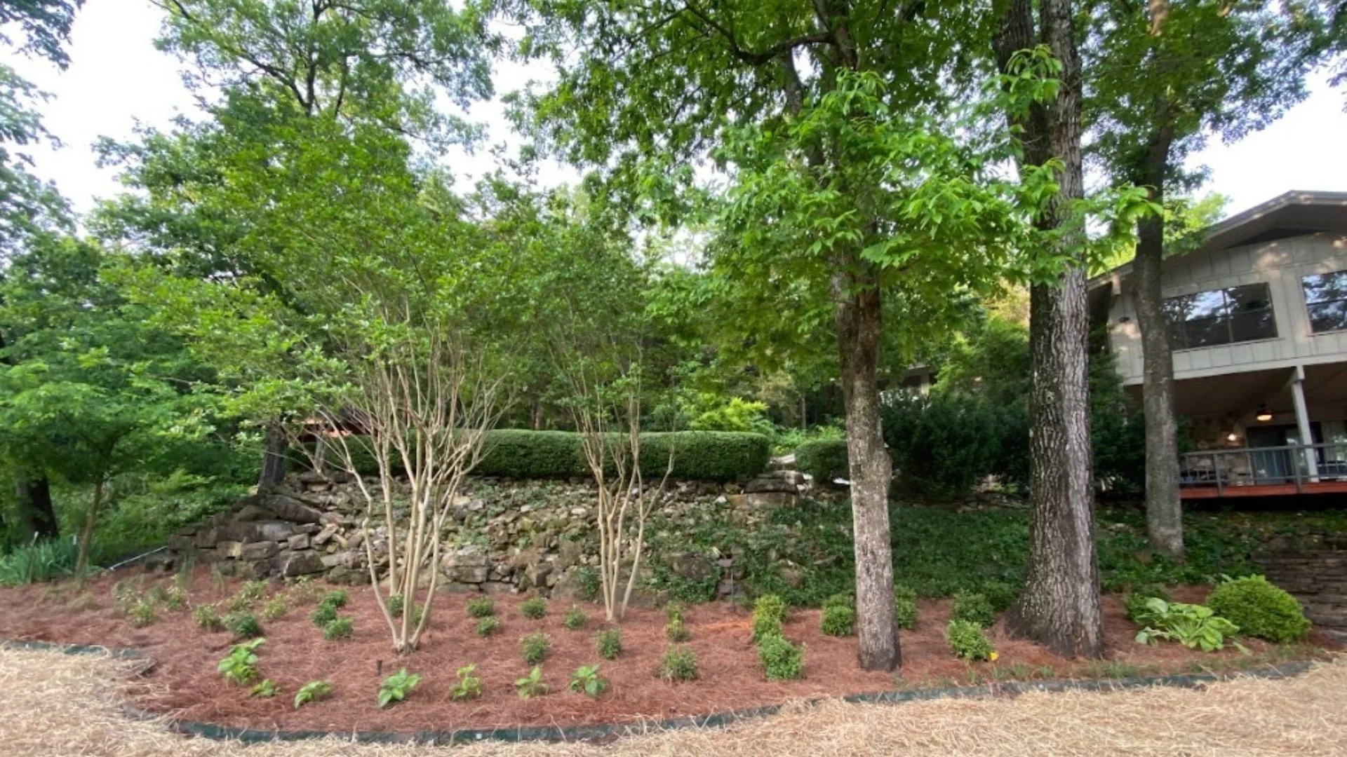 Can You Fertilize Your Trees & Shrubs Yourself?