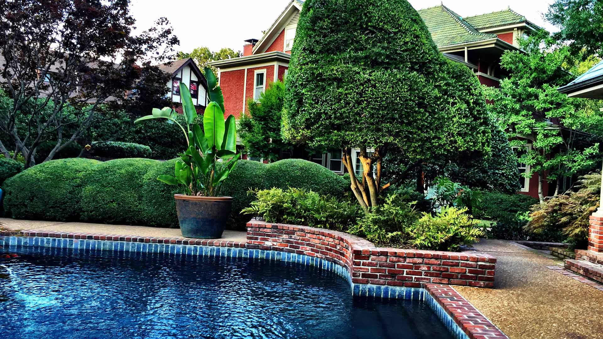 Trimmed landscape bushes and hedges around a pool in Collierville, TN.