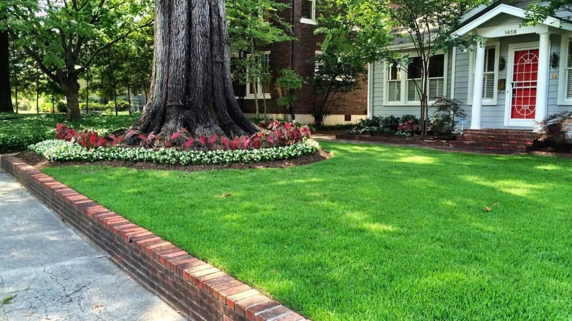 Vibrant lawn with landscape bed around tree in Downtown Memphis, TN.