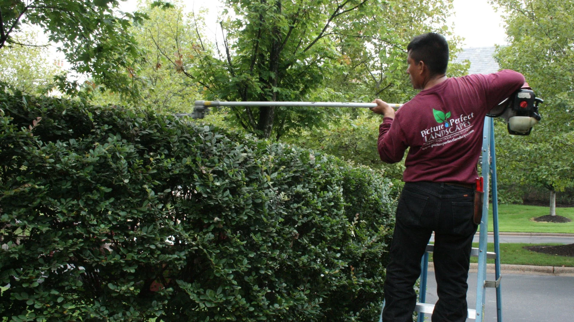 Boost Your Curb Appeal by Keeping Your Plants Trimmed