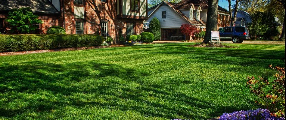 Beautiful lawn in Memphis, TN, that has received a fertilization treatment.