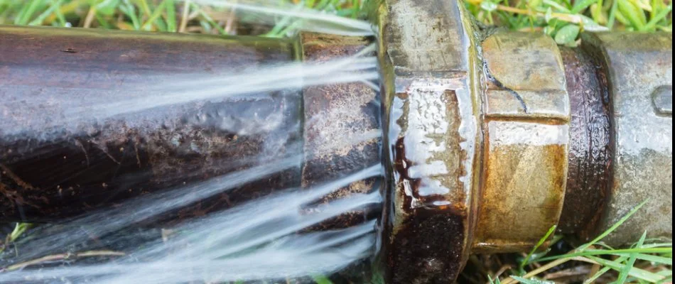 Leaky irrigation system in Memphis, TN.