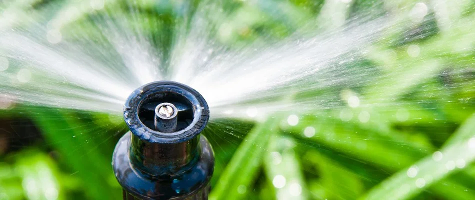 Closeup of an irrigation sprinkler head in Memphis, TN.