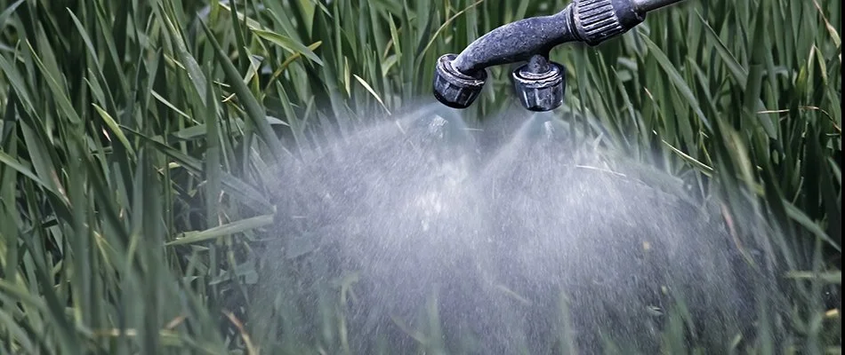 Liquid fertilizer being sprayed on a lawn in Memphis, TN.