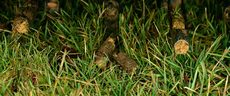 Close up of a core aeration machine in action on a yard in Arlington, TN.