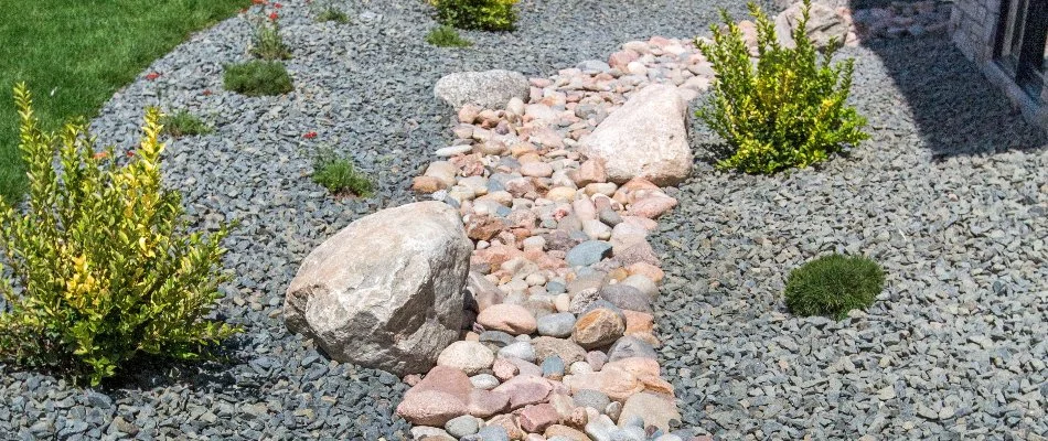 Dry creek bed in Memphis, TN, with rocks, stones, and plants.